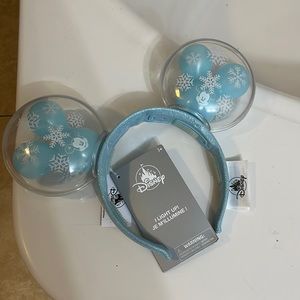 Disney Theme Park Ears